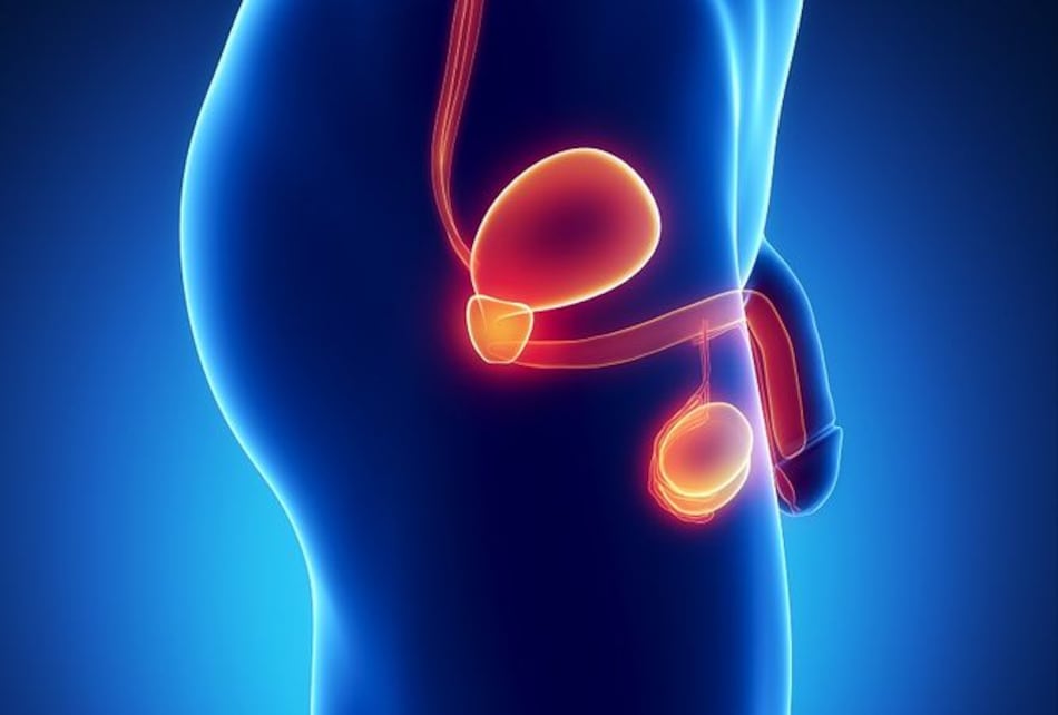 10 mitos del dolor en los testículos