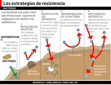 Bacterias muestran mayor resistencia a los antibióticos