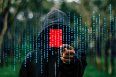 Una diputada bolsonarista pagó 8,000 dólares a un hacker para invadir el sistema judicial
