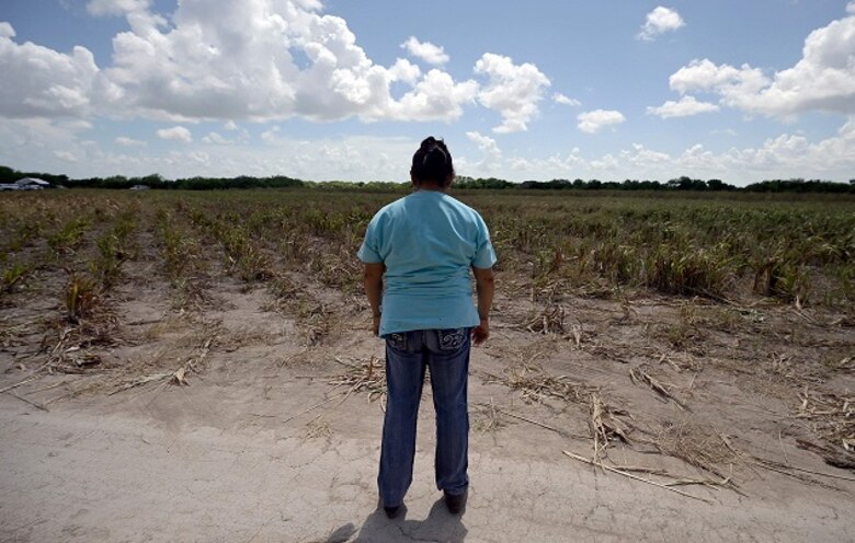Bastaría ‘un hueso’, la búsqueda desesperada de 95,000 desaparecidos en México