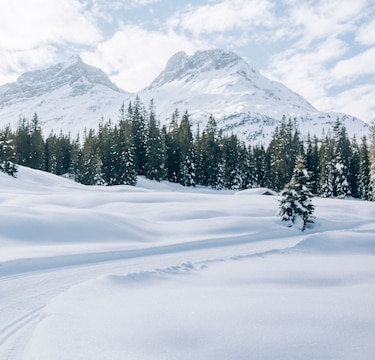 Localizan con vida a ocho personas tras avalancha en Austria