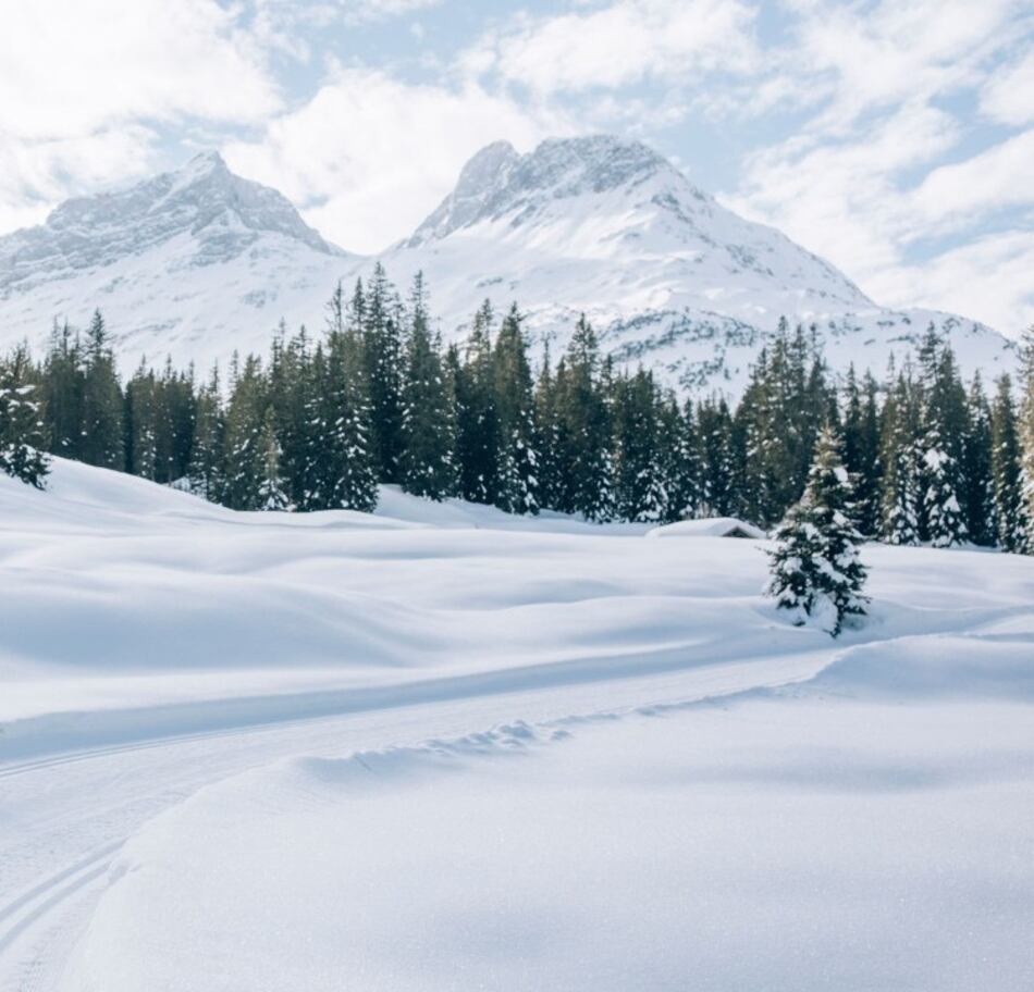Localizan con vida a ocho personas tras avalancha en Austria