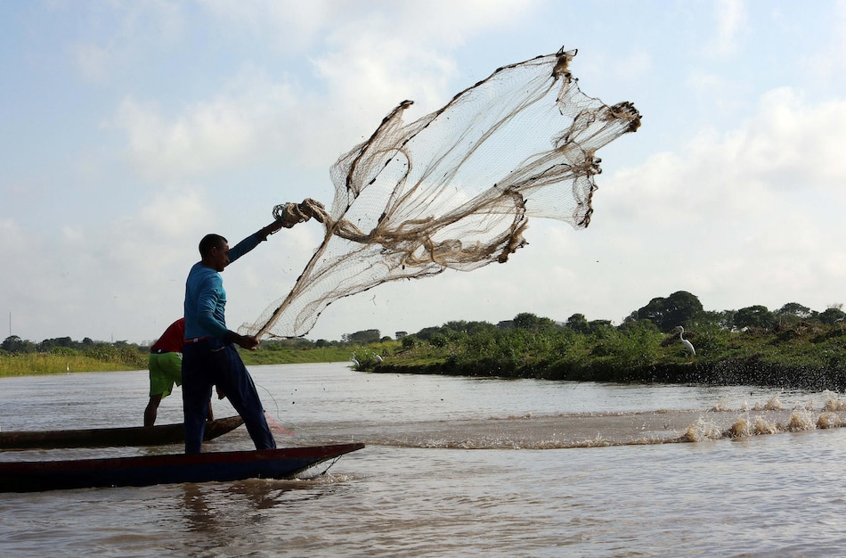 Pesca indiscriminada en el Caribe colombiano
