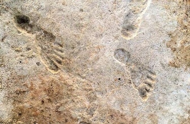 Un nuevo estudio confirma que ya había seres humanos en América hace al menos 20,000 años