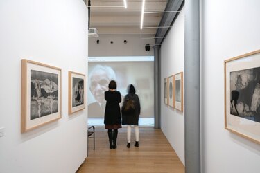 Las dos orillas de Julio Zachrisson