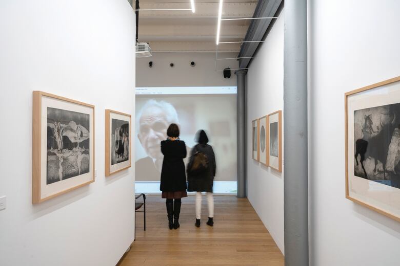 Las dos orillas de Julio Zachrisson