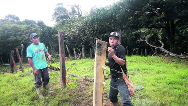 Conservar al jaguar en la comarca