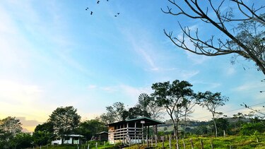 Un lugar para admirar la naturaleza