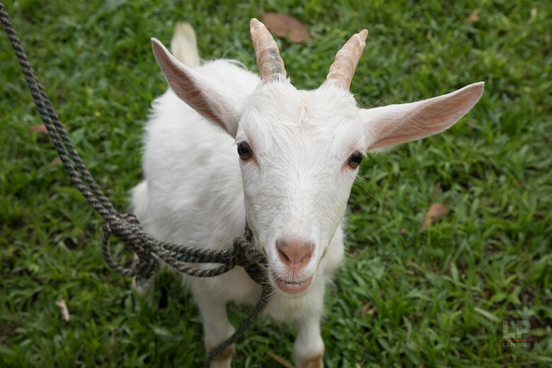 El Valle de Antón y su vocación turística
