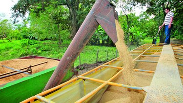 Récord de compras agrícolas en el exterior
