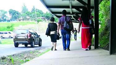 Proliferan serpientes en áreas semiurbanas