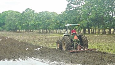 Definen hoja de ruta en plan de cambio climático para el agro