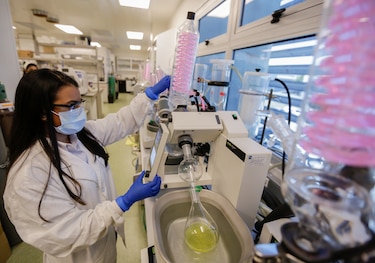 La ciencia en Panamá: $285 millones invertidos en actividades científicas en el 2024