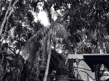 Libro de fotografías sobre la ampliación del Canal de Panamá