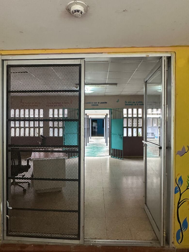 Del dolor al vuelo: la graduación de las mariposas