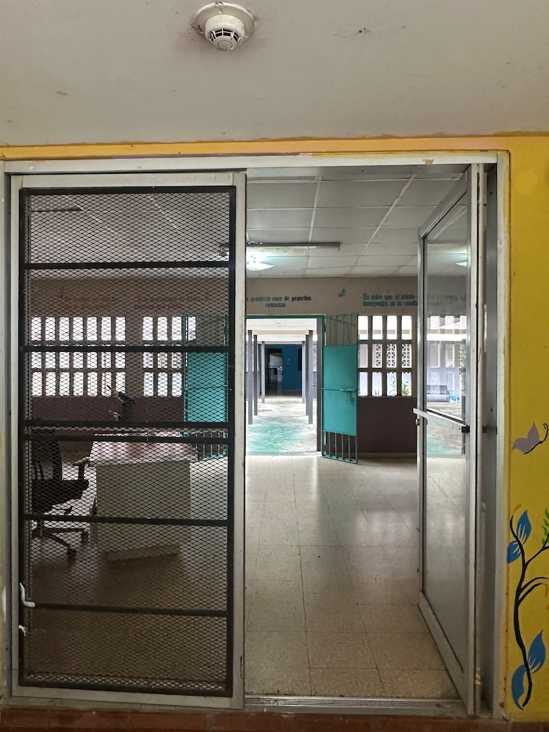 Del dolor al vuelo: la graduación de las mariposas