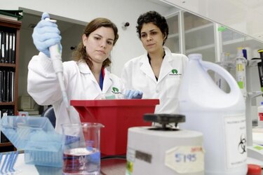 OMS: Lucha contra la malaria avanza, pero la erradicación aún está lejos