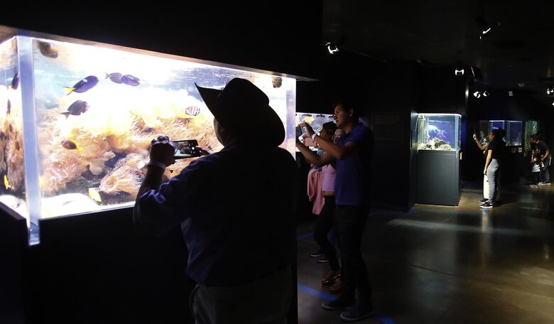 Acuario en Medellín sumerge a personas invidentes y sordas en una experiencia accesible