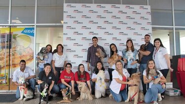 Nestlé Panamá participa de la iniciativa Purina Pets at Work