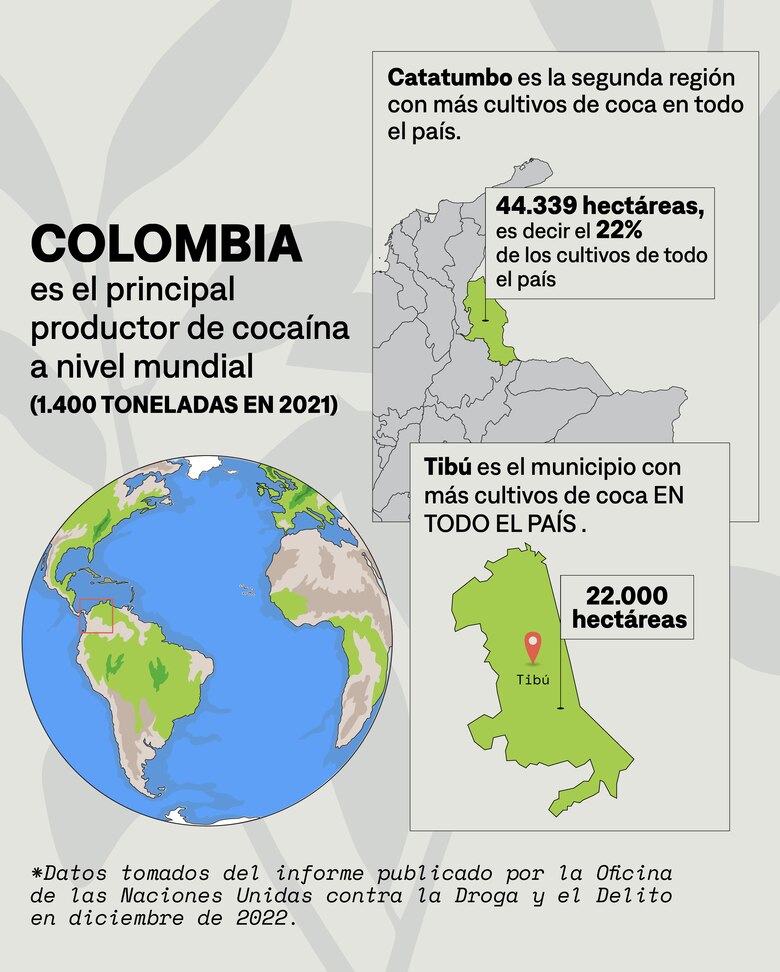 Los rostros del hambre tras la crisis de la coca en Colombia