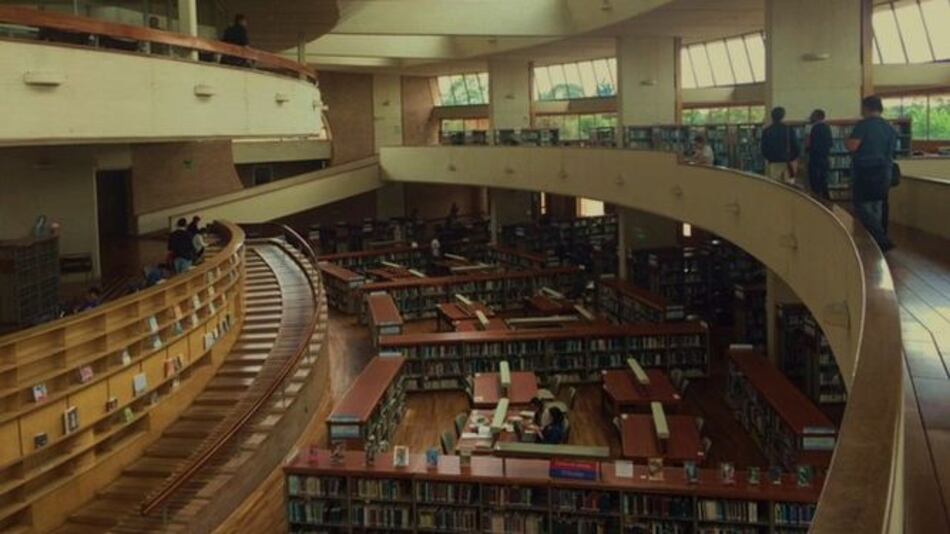 Cuando leer ayuda a volar, sobre el caso de Bogotá