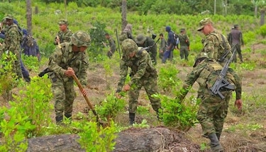 Al menos cuatro muertos y 14 heridos en protesta de cocaleros en Colombia
