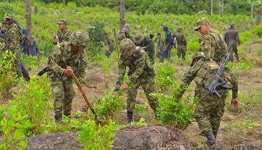 Al menos cuatro muertos y 14 heridos en protesta de cocaleros en Colombia