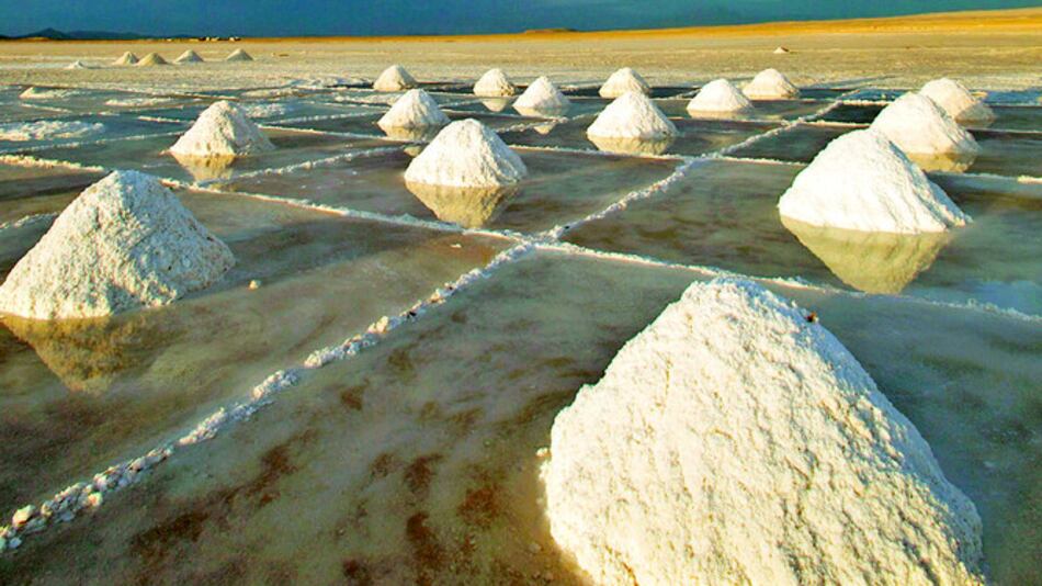 Rosatom contempla explotación de litio