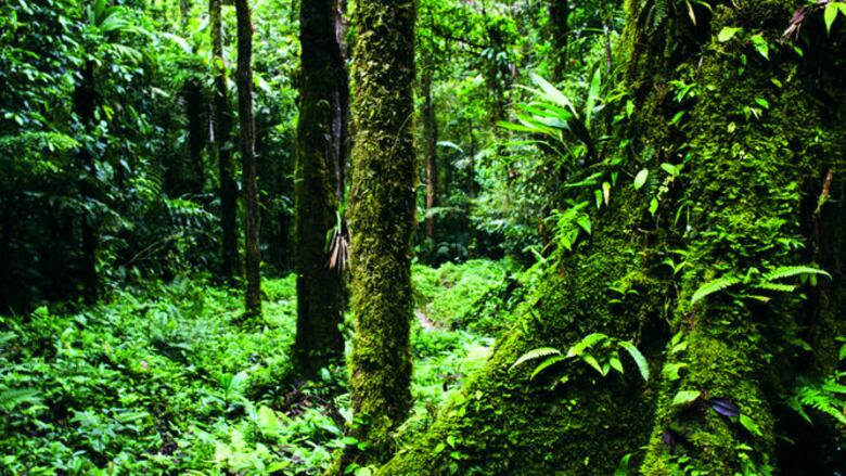 El Edén, lejos de la carretera