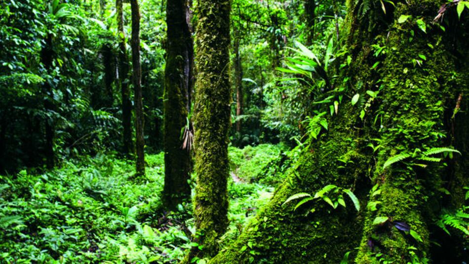 El Edén, lejos de la carretera
