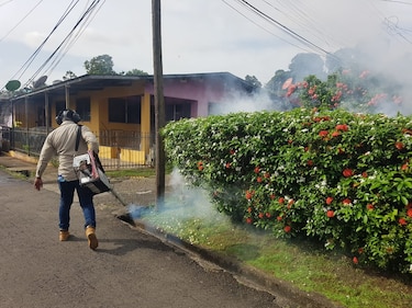 Minsa: 273 casos de dengue han sido reportados en San Miguelito 