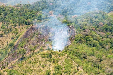 El impacto humano en los bosques tropicales
