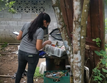 Minsa reporta el primer caso de virus hanta en 2023