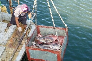 Vinculan buques del registro a pesca ilegal; Panamá afirma que enfrenta el flagelo