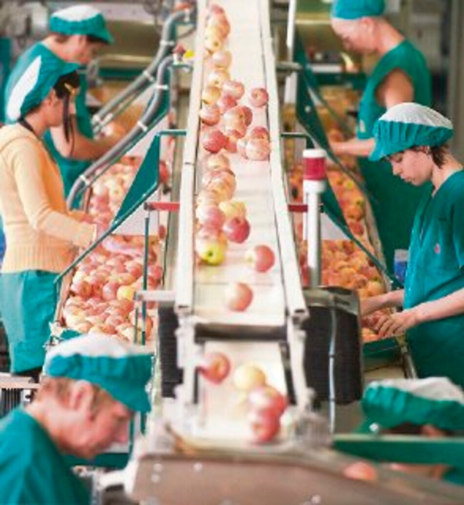 España debe demostrar pérdidas por veto ruso