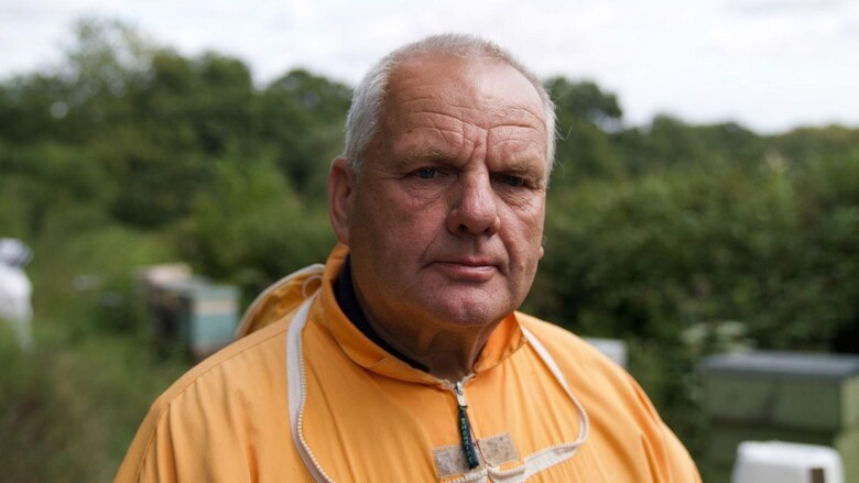 El superalimento creado por científicos de Oxford que busca salvar a las abejas de su desaparición