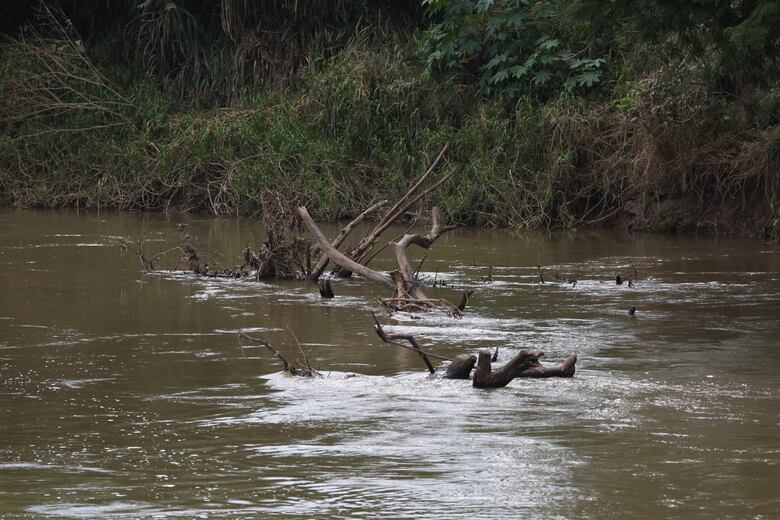 Defensoría revela ‘brechas graves’ en derechos humanos: educación, agua, salud y claridad sobre Bocas del Toro entre los pendientes