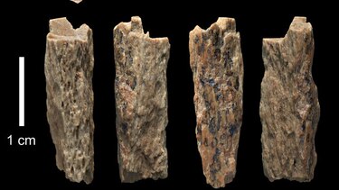 Hallan por primera vez restos de un niño nacido de dos especies humanas distintas