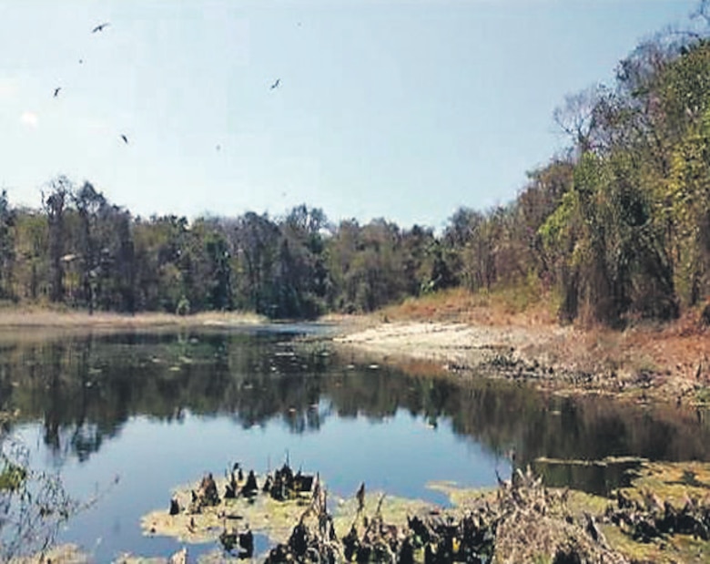 Contadora, un oasis sin agua potable