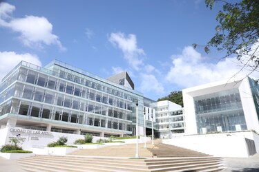 Frenan proceso de contratación por $258,995 para la rotulación del complejo Ciudad de las Artes