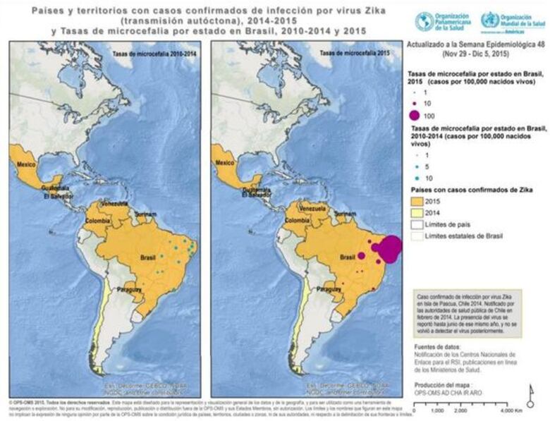 Piden redoblar esfuerzos para reducir la presencia del mosquito transmisor del zika