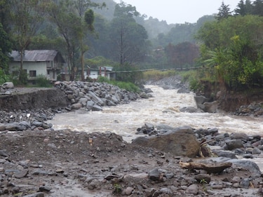 Lluvias provocaron la caída de árboles en Chiriquí; se mantiene la alerta verde preventiva
