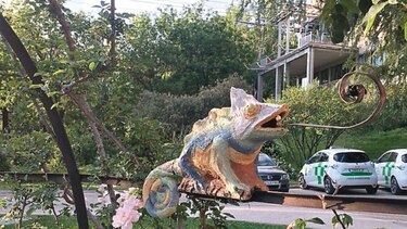 Madrid y su oasis entre rosas
