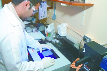 Parásito mutante amenaza de malaria a millones de africanos, según estudios
