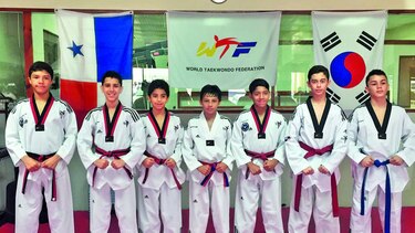 Viajan a Corea del Sur