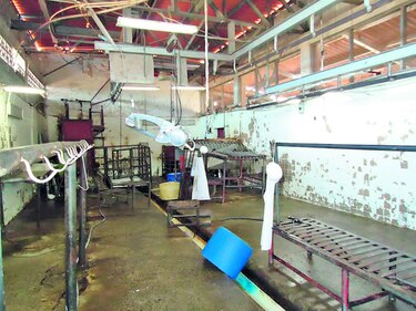 Matadero municipal de Chitré, a manos privadas
