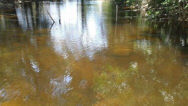 Anam investiga coloración inusual del agua en quebrada de Pesé
