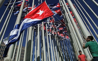 Liberan a la artista cubana Tania Brugera
