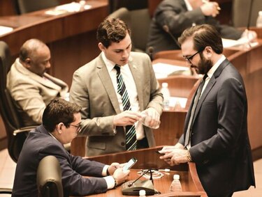 Primeras propuestas de ley: agro, animales y reformas al reglamento
