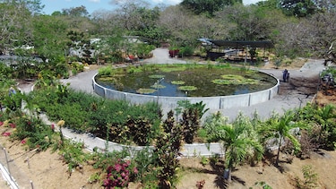 Crean primer jardín botánico de Chiriquí
